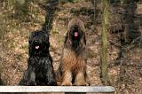 BRIARD 039